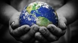 Timeline: Origen y evolución de la vida en la tierra