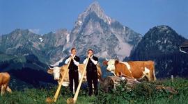 Timeline: The Formation of the Swiss Confederation