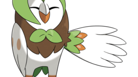 Timeline: DartrixMan's Life events