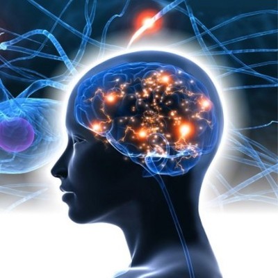 Timeline: История нейронауки