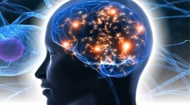 Timeline: История нейронауки