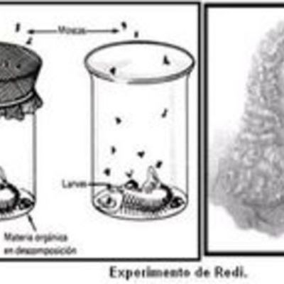 Timeline: Generación espontánea.