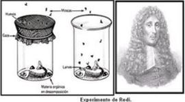 Timeline: Generación espontánea.