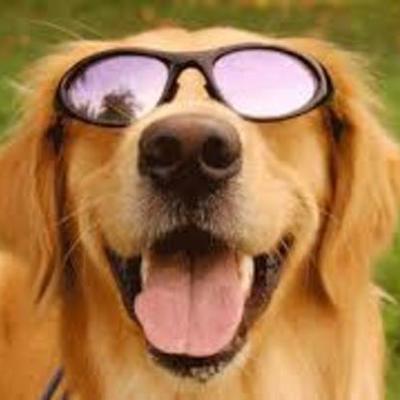 Timeline: Lifetime Personal Health