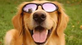 Timeline: Lifetime Personal Health