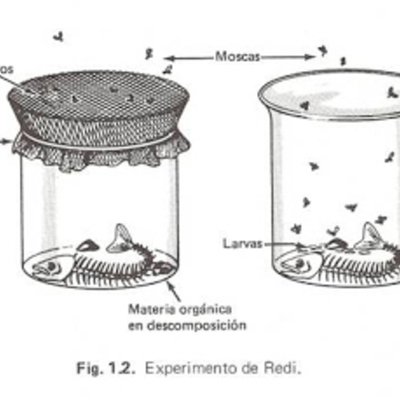 Timeline: La generación espontánea