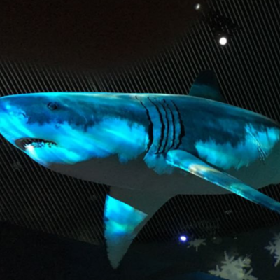 Timeline: HUGO DOMINGUEZ CARRILLO