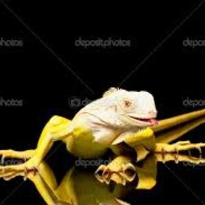 Timeline: Evolución de la tecnología