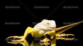 Timeline: Evolución de la tecnología