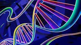 Timeline: The Scientists of DNA