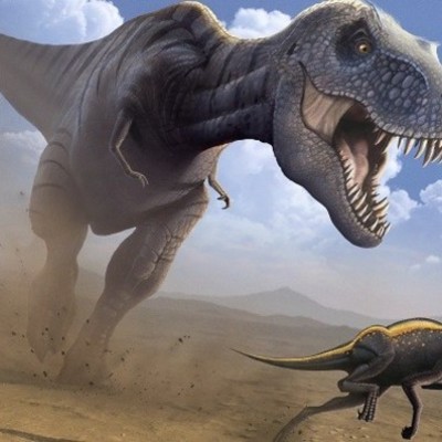 Timeline: Origen de la vida y su evolución.