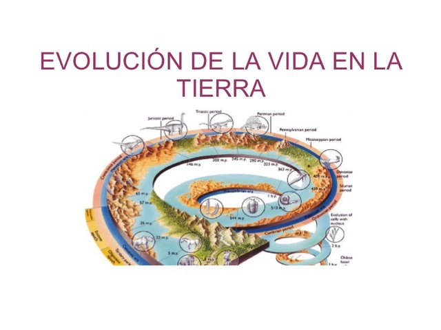 Origen y evolución de la vida en la Tierra timeline | Timetoast timelines