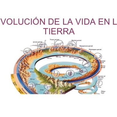 Timeline: Origen y evolución de la vida en la Tierra
