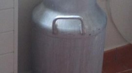 Timeline: La lechera