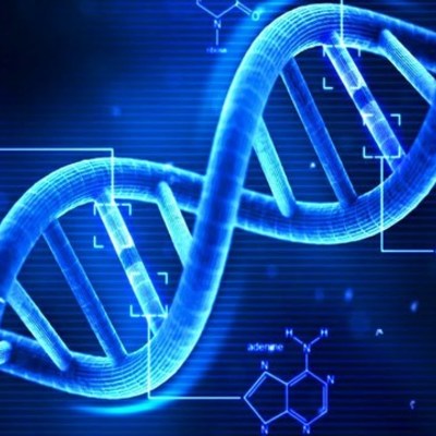 Timeline: DNA Discovery Timeline