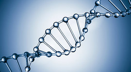 Timeline: Scientist of DNA