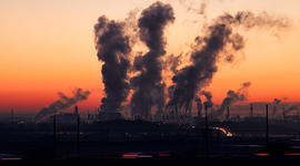 Timeline: Environmental Issues Timeline