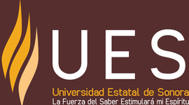 Timeline: Simulacion