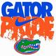 Florida gators wallpaper3