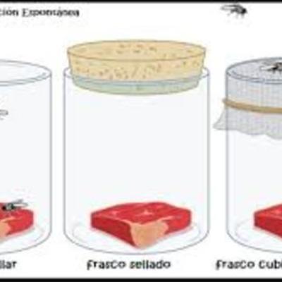 Timeline: Generación expomtania