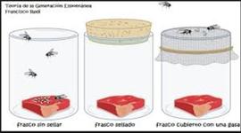 Timeline: Generación expomtania