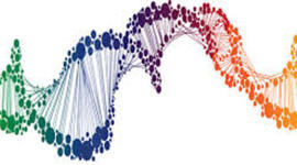 Timeline: DNA Bonus Timeline
