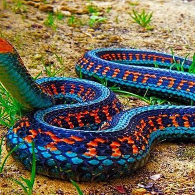 Timeline: Ryley's timeline