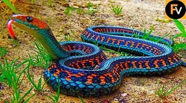 Timeline: Ryley's timeline