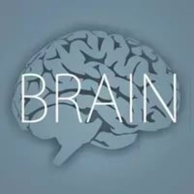 Timeline: История Когнитивистики