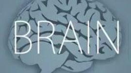 Timeline: История Когнитивистики