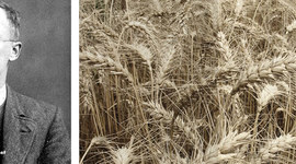 Timeline: La historia de la simulacion