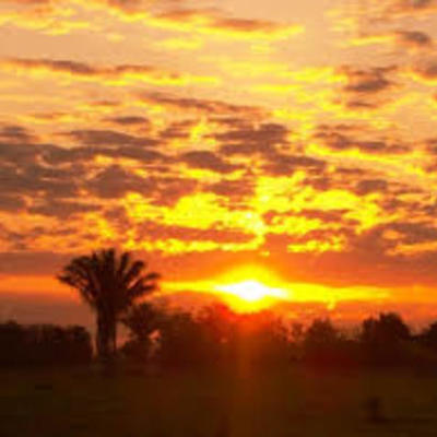 Timeline: Proceso formativo de Norma C Lemus B.