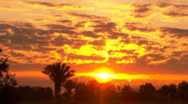 Timeline: Proceso formativo de Norma C Lemus B.