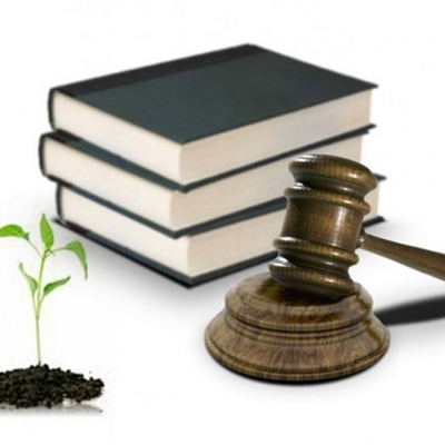 Timeline: "Legislación Ambiental"