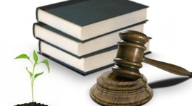 Timeline: "Legislación Ambiental"