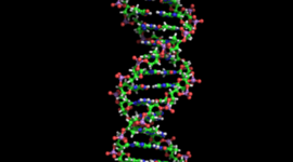 Timeline: Scientists of DNA