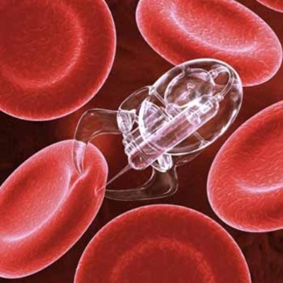 Timeline: cèl·lula