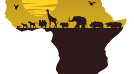 Timeline: Africa Timeline by Kathryn Donner