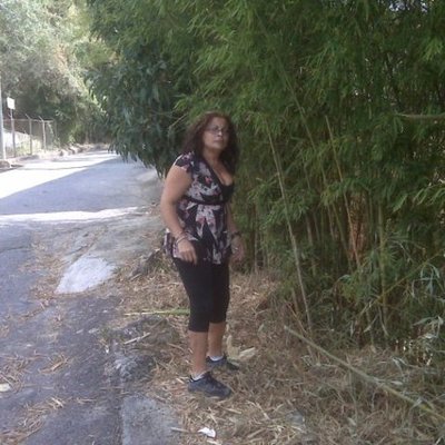 Timeline: Telleria Camba