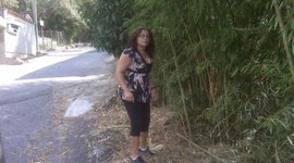 Timeline: Telleria Camba