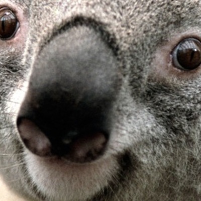 Timeline: 1900-2100 Major Technology