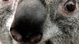 Timeline: 1900-2100 Major Technology