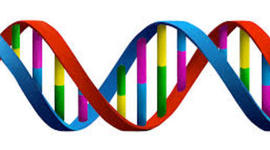 Timeline: DNA Timeline