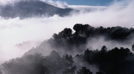 Timeline: The Philippines