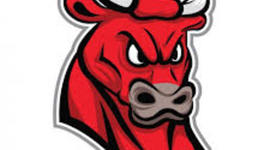 Timeline: Bull Vs Hammer