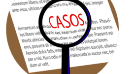 Timeline: El proceso y trayectoria que se debe aplicar al análisis de un caso.