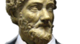 Timeline: Création de site