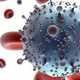 Hiv strain