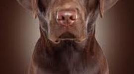 Timeline: joselyn merida