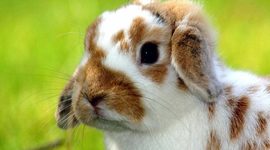 Timeline: Kendy Quezel